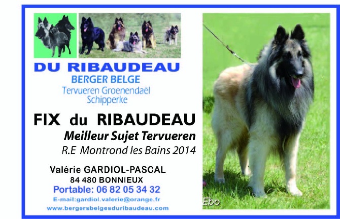 Du Ribaudeau - ELEVAGE PASSION